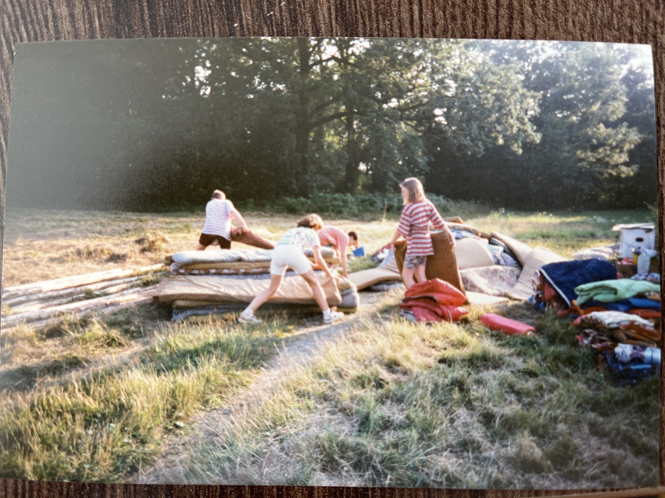 1997 - Úklid borůvkového háje (kopie)